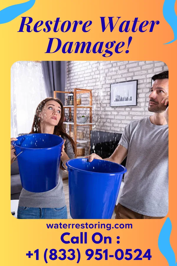 water restoration Pro Disaster Recovery Millsboro