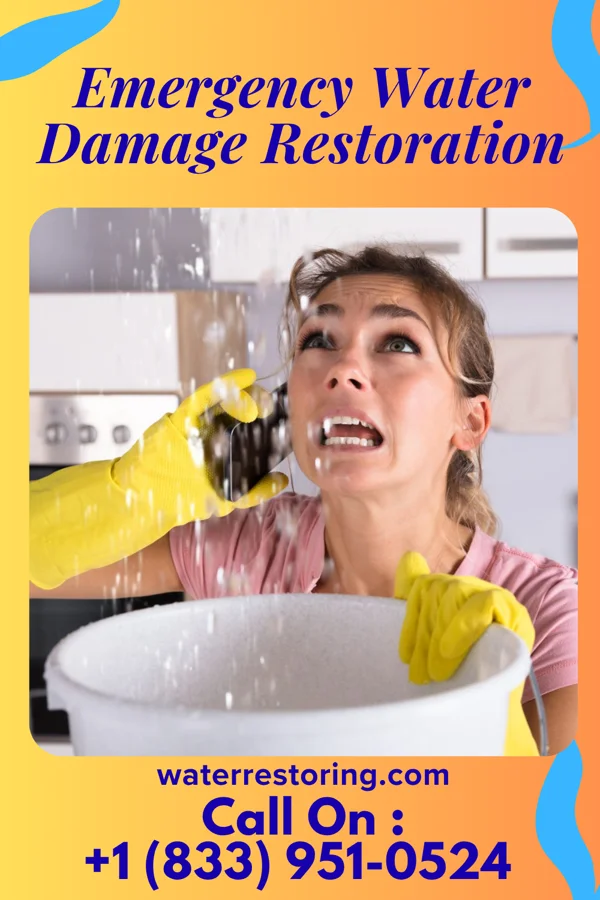 Emergency Water Damage Restoration in Millsboro, DE