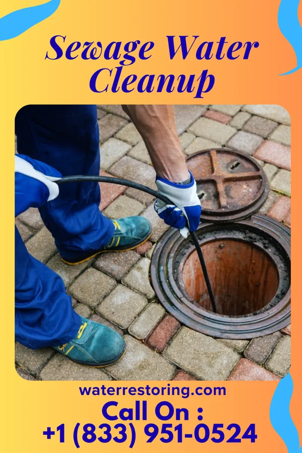 Sewage Water Cleanup in Millsboro, DE